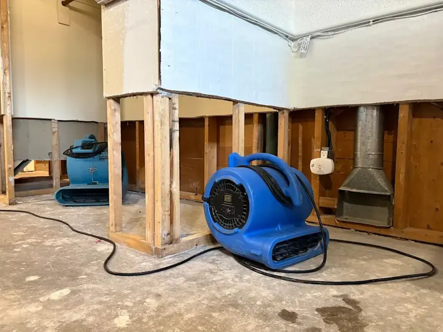 A basement drying out in Downingtown: lower drywall cut away to the studs with an air mover and a dehumidifier running